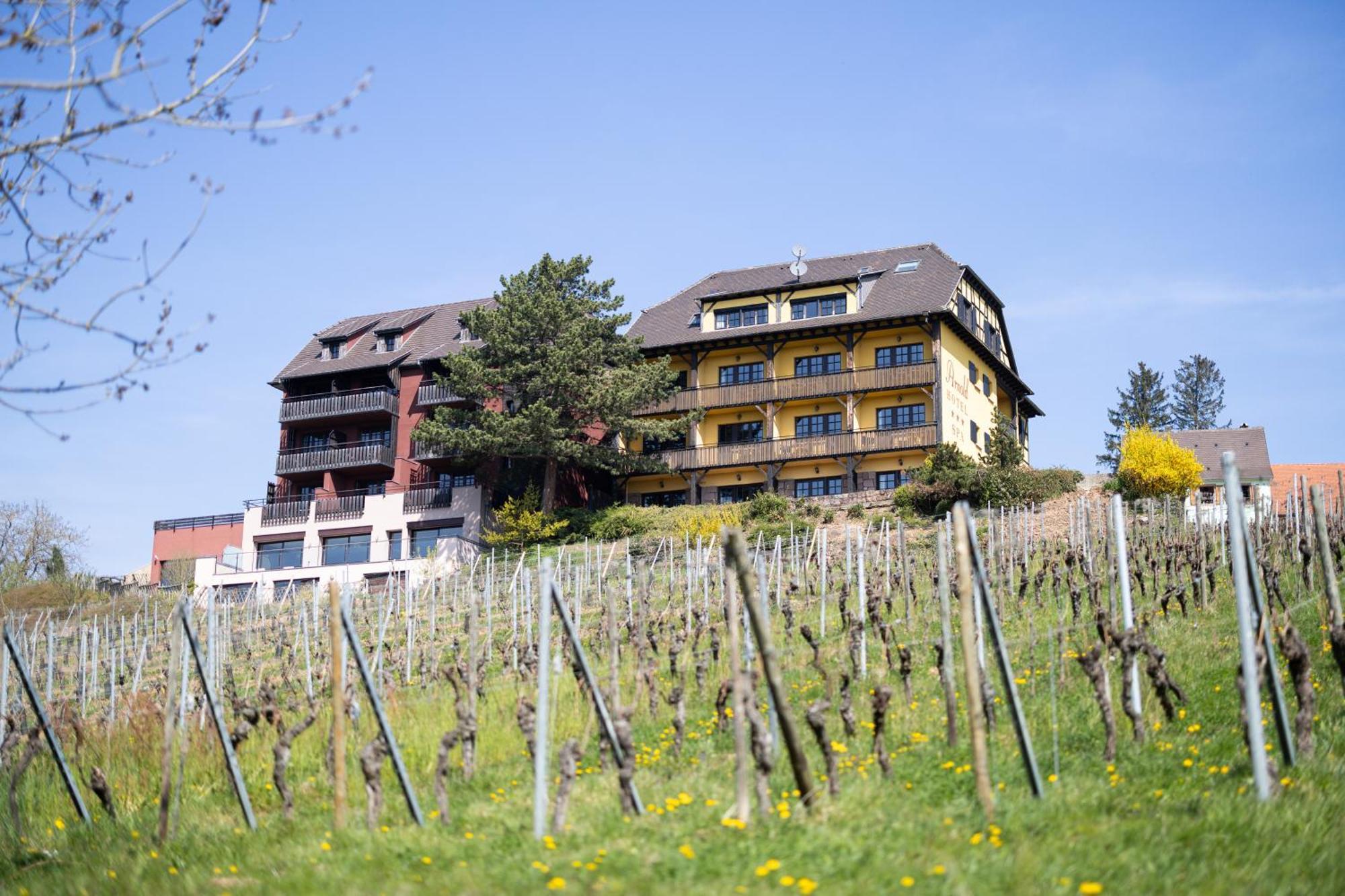 Hotel Arnold Itterswiller Zewnętrze zdjęcie