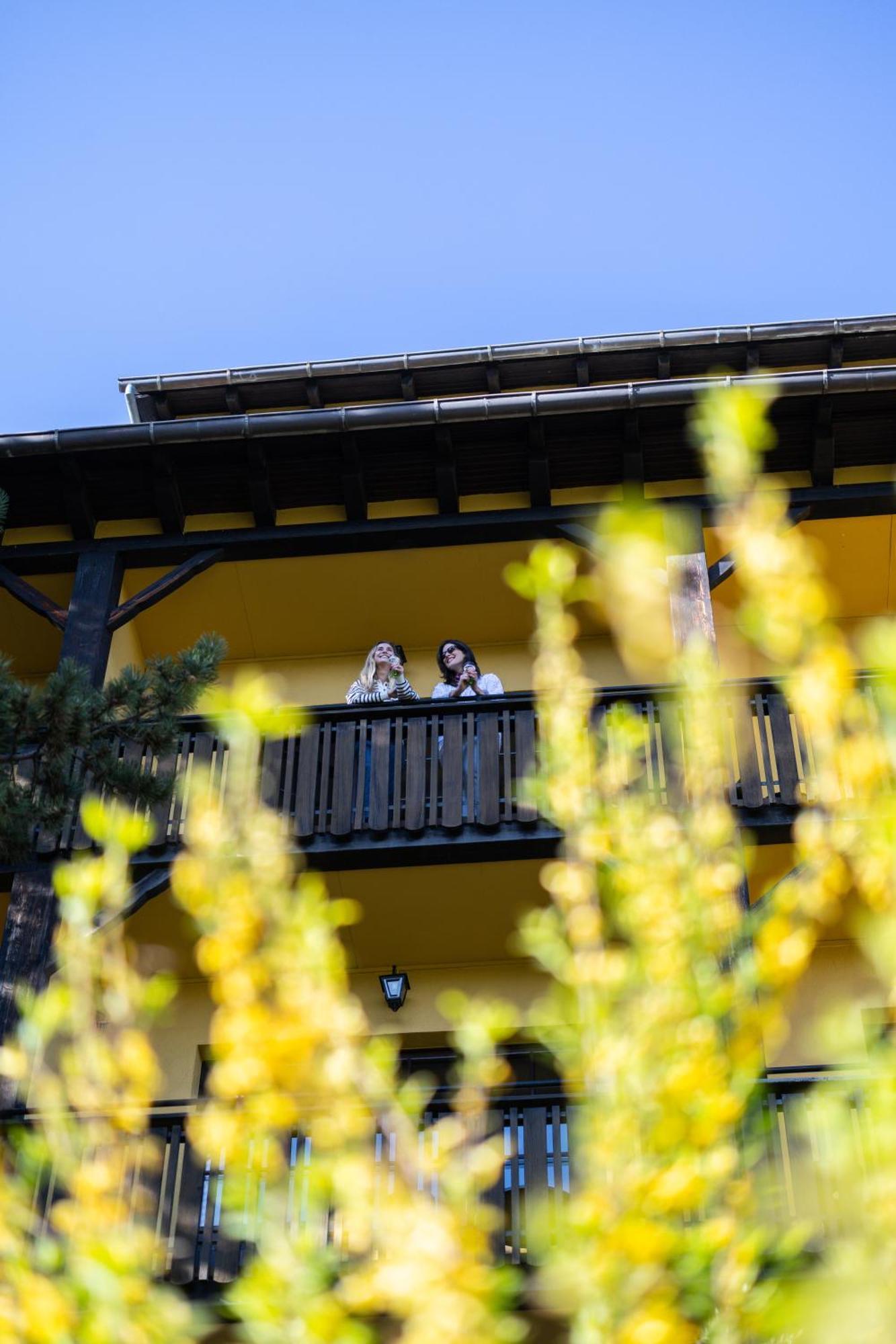 Hotel Arnold Itterswiller Zewnętrze zdjęcie